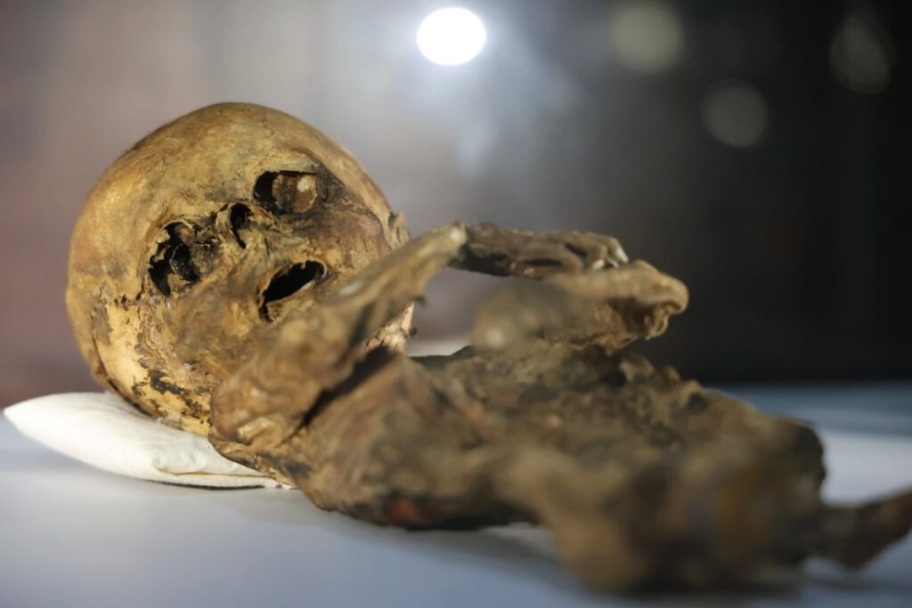 The Forgotten Christian-Turkic Mummies of Aksaray: Why is there a 1,000-year-old mummified cat?