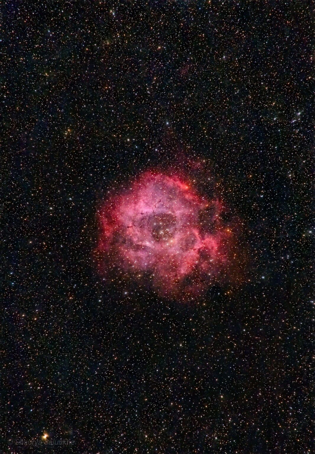 Rosette nebula with stock cam and kitlens