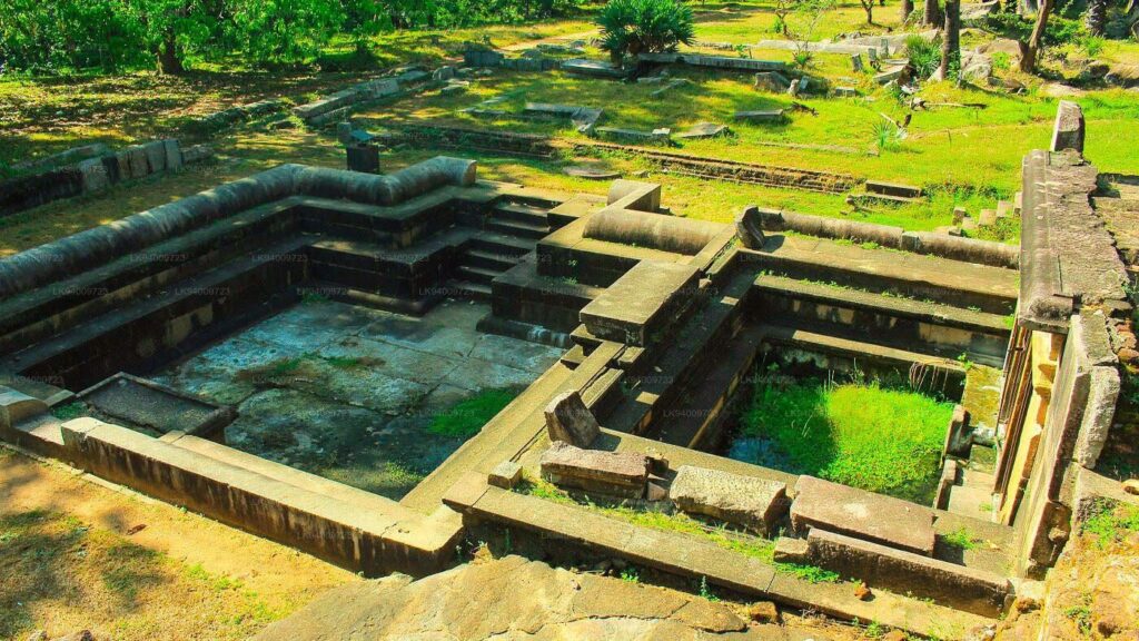 Hidden in Sri Lanka: The "Sakwala Chakraya" or Universe Cycle. Carved onto a massive boulder in 300 BC. Mainstream archaeology calls it a "Goldfish Park," but local legends call it a Stargate. It bears a strange resemblance to the "Gate of the Gods" in Peru.