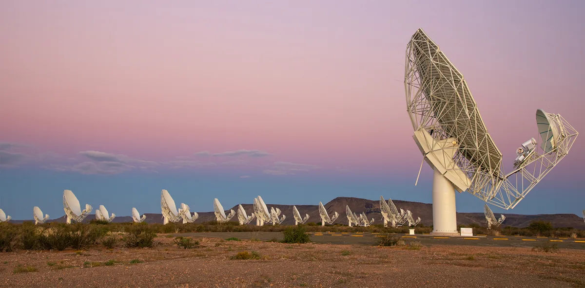 The 64-dish MeerKAT radio telescope array. Credit: South African Radio Astronomy Observatory