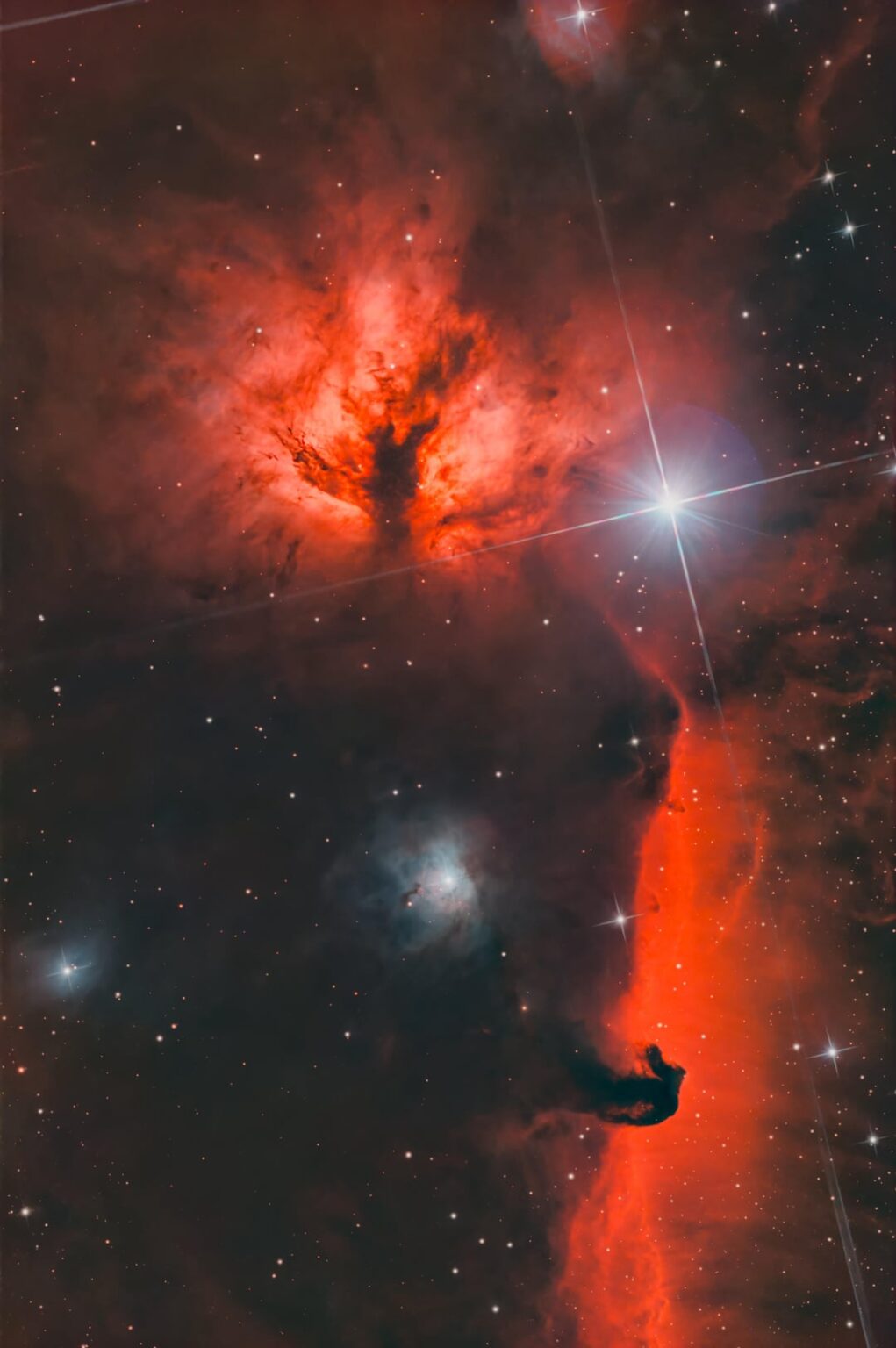 Horsehead and Flame Nebula