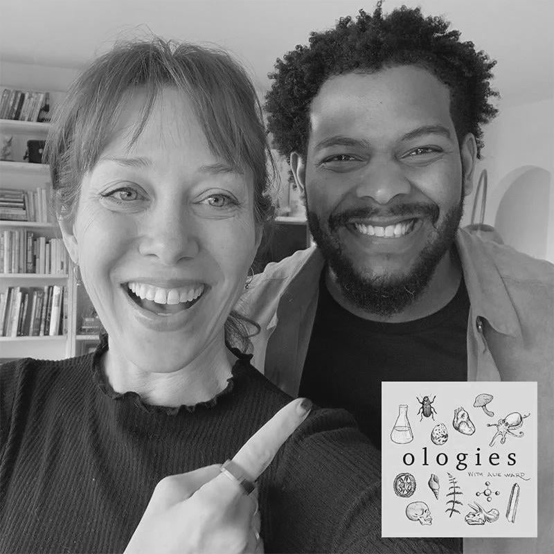 Ologies podcastin black holes