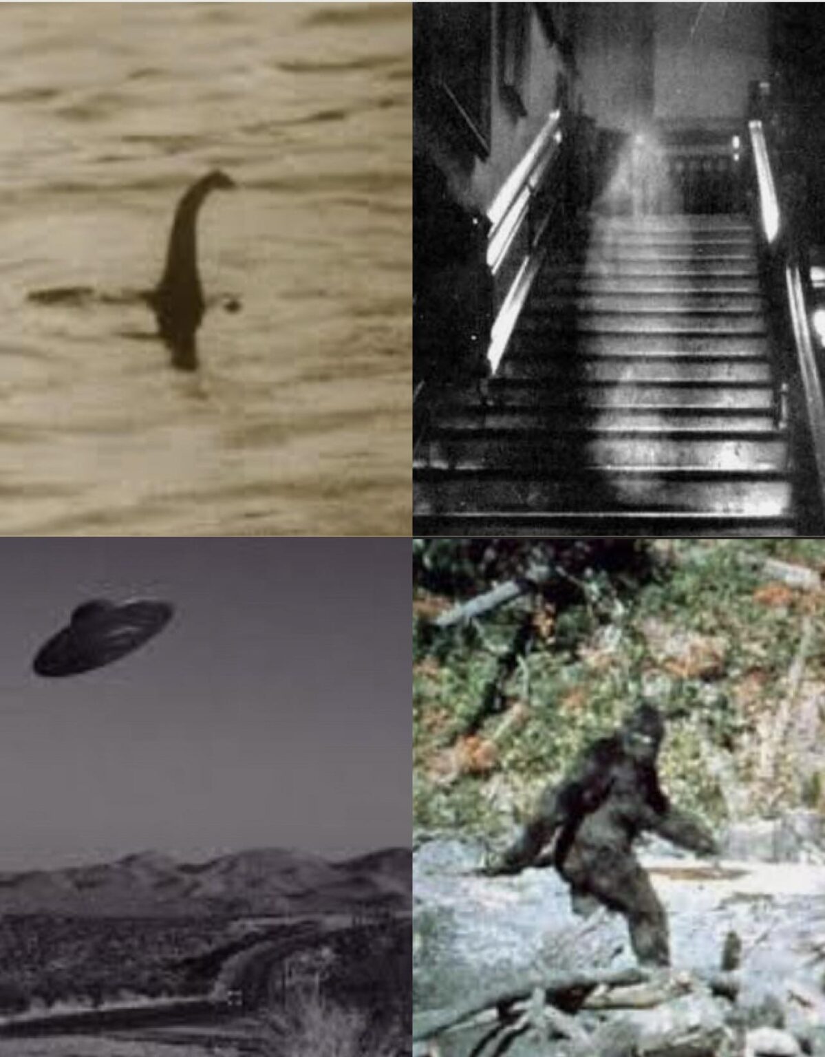 What's your favorite category of High Strangeness?