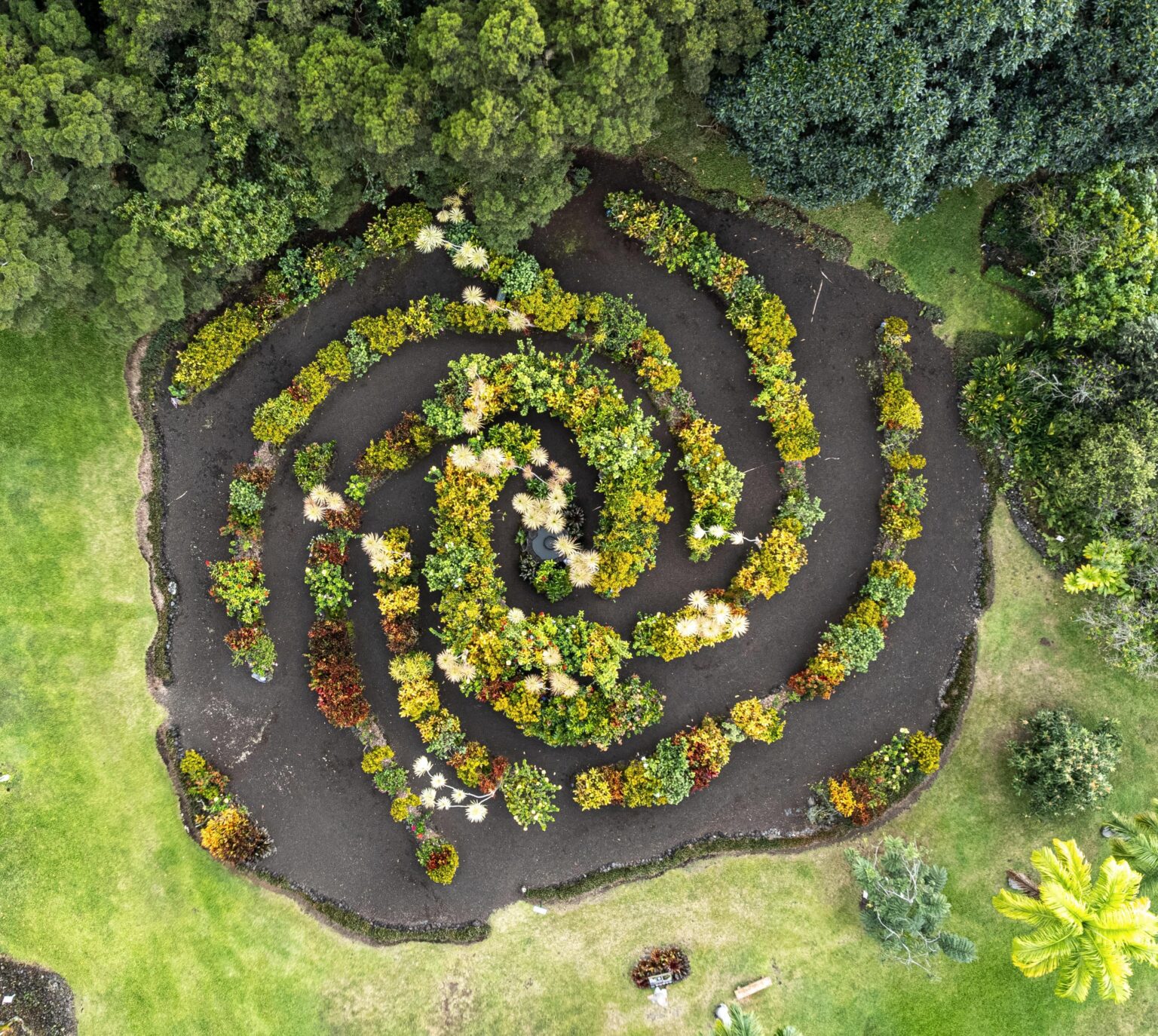 Floral “Galaxy Garden model of Milky Way Floral "Galaxy Garden model of Milky Way