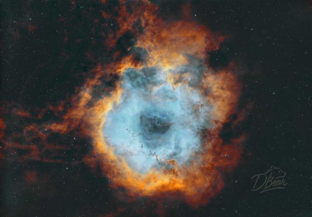 Double Timed Rosette