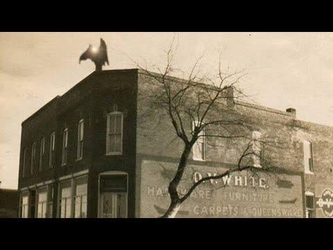 The van meter visitor - The story of the mysterious creature that was seen there.