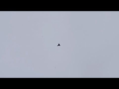 01/25/2026 09:25am- 2x UAP sighting footage.