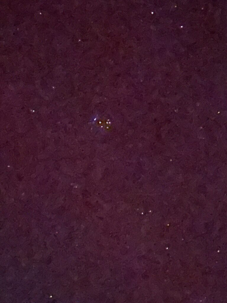 When out looking at the Northern Lights me and others around me noticed a cluster of “stars” I used the star finder app and could only come up with this for Taurus? Anyone got any other ideas? 20/01/26 - 10:00pm United Kingdom