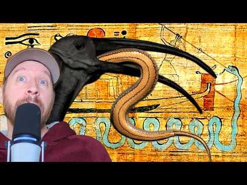 Thutmose II’s Tomb: Why Thoth was “Like the Ibis” Thutmose II's Tomb: Why Thoth was "Like the Ibis"