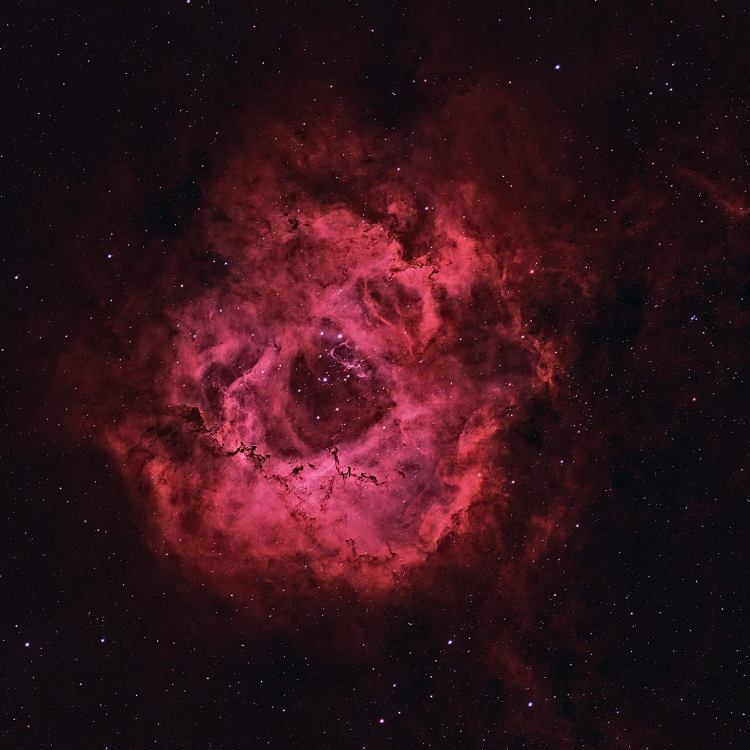 Rosette Nebula - NGC 2244