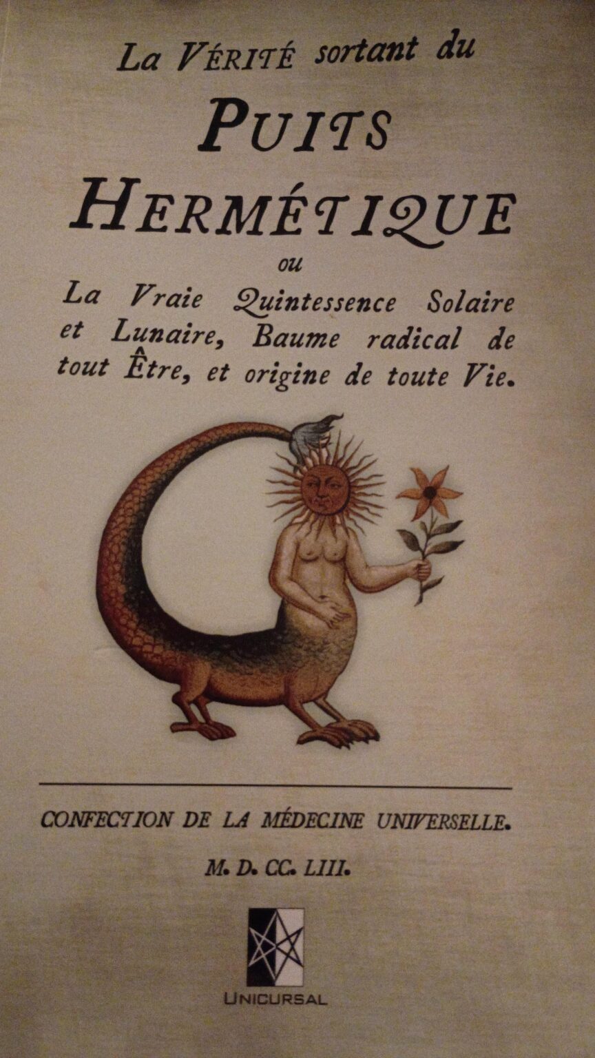 This Is the Strangest, Yet Most Illuminating Book I’ve Ever Read