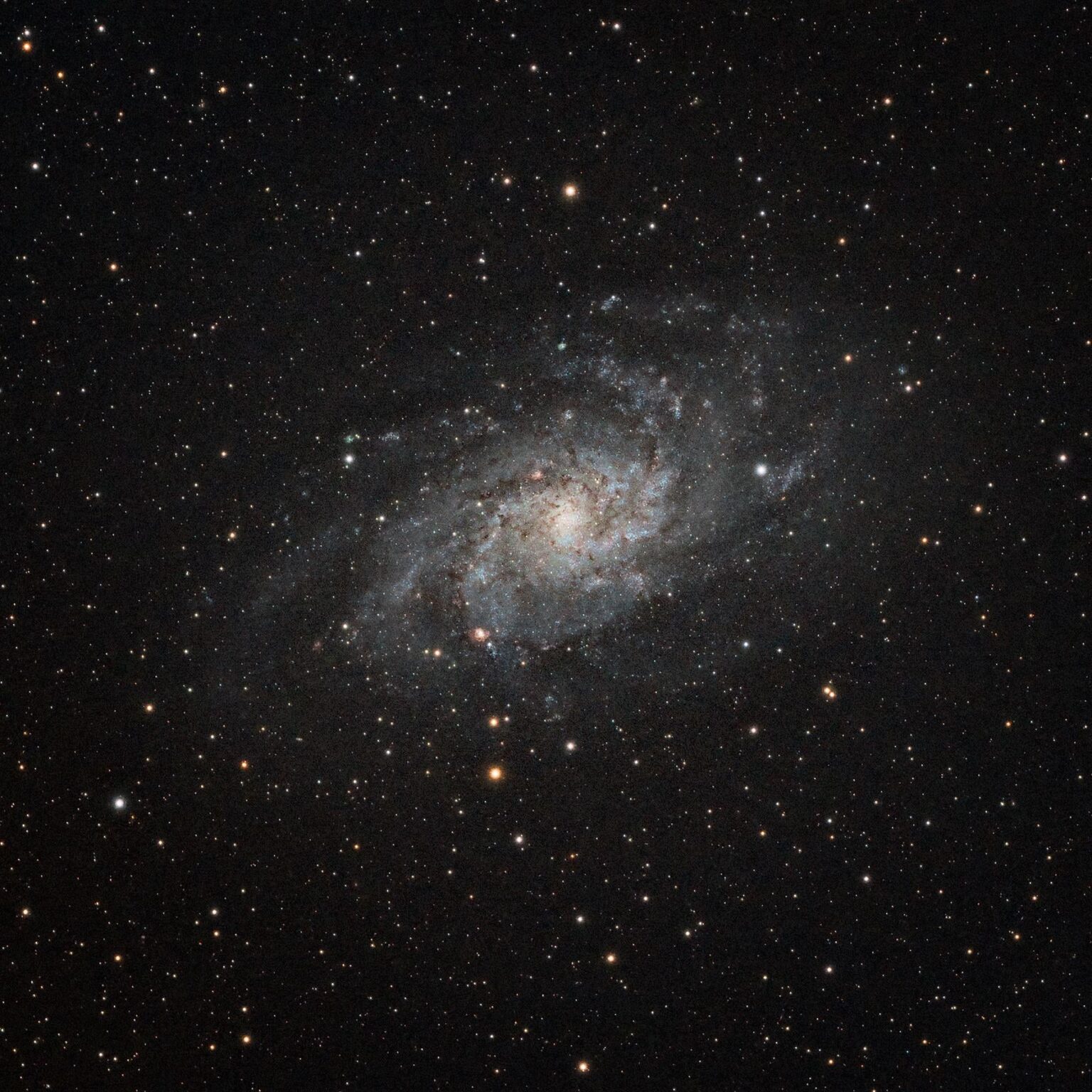 The Triangulum Galaxy (M33)