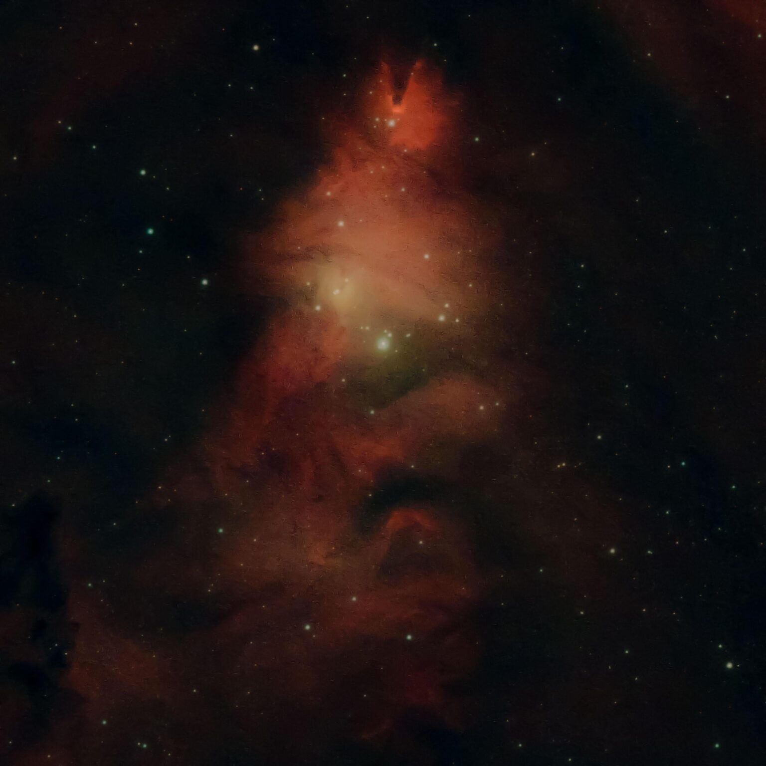 Christmas Tree Nebula