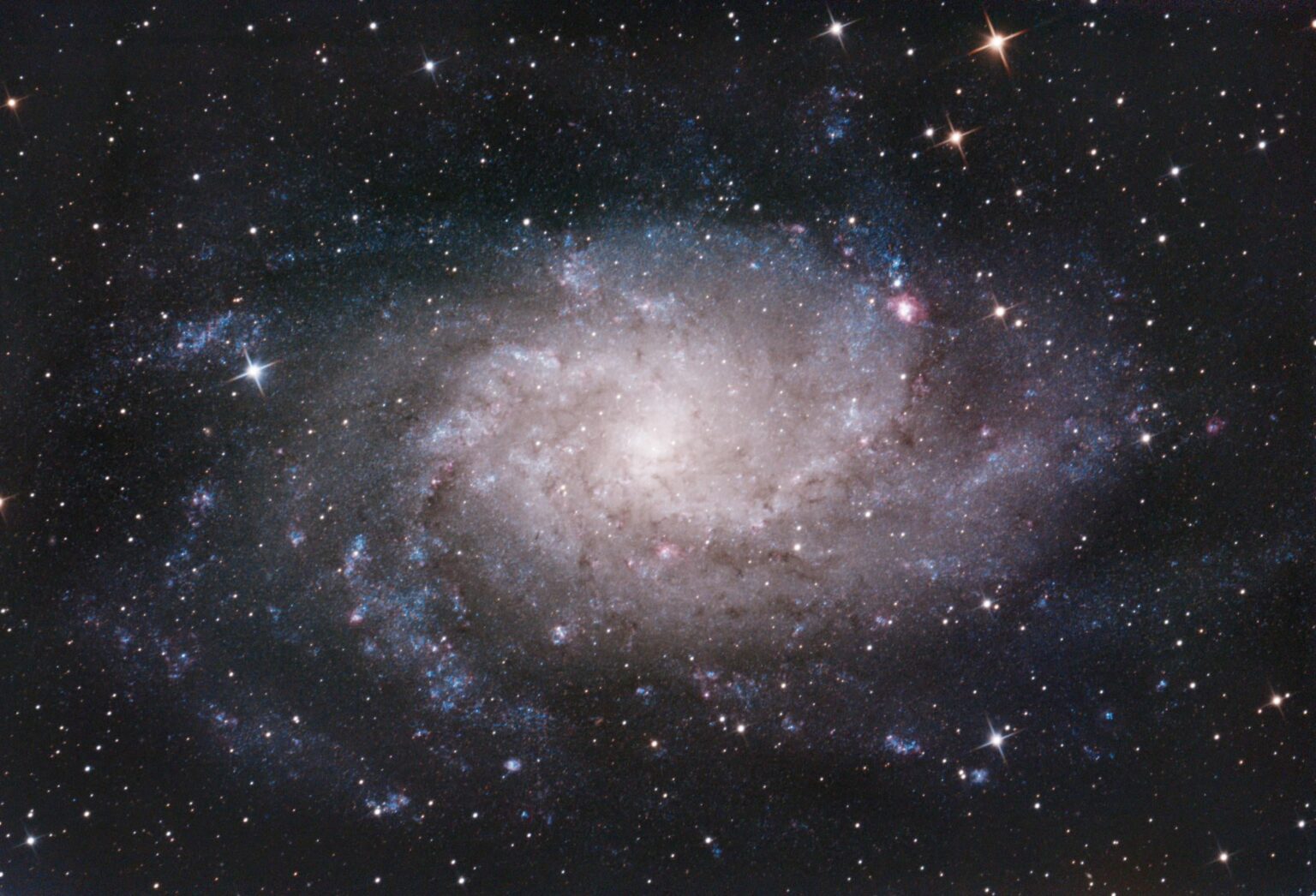M33