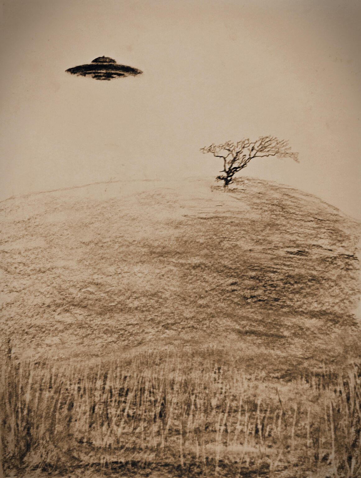 my charcoal drawing 18"x24"