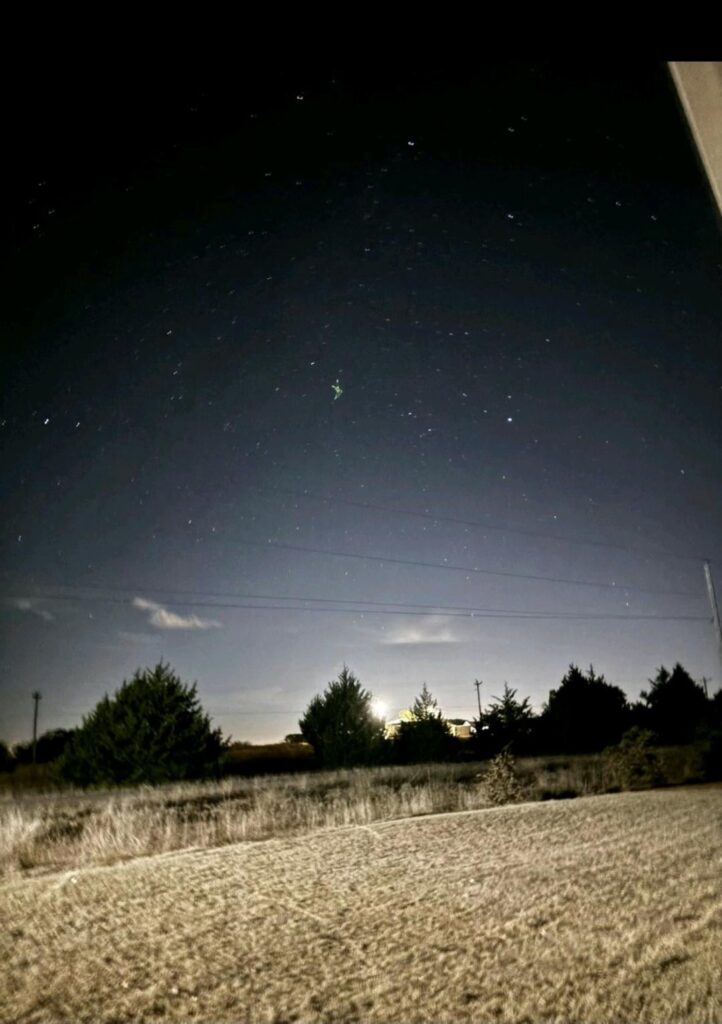 What is that green thing? Taken in eastern wa