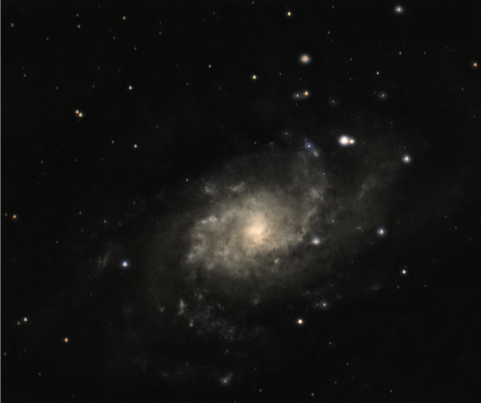 M33