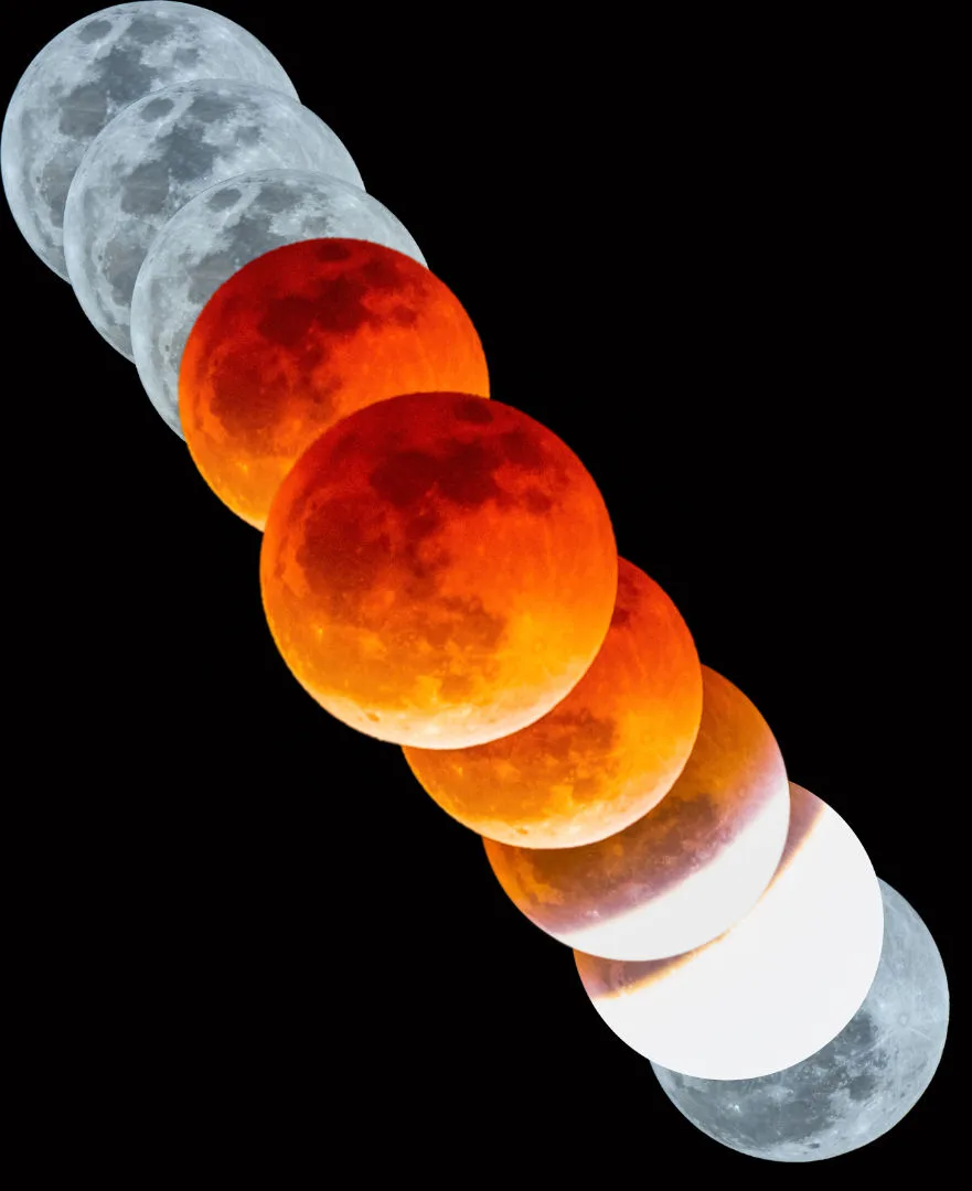 Lunar eclipse Atharva Maurya and Harshwardhan Pathak, Uttar Pradesh, India, 7 September 2025 Equipment: Canon EOS Rebel SL2 camera, Pie Matrix Helix reflector, Sky-Watcher EQ3 mount