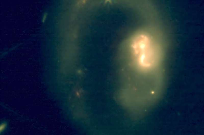 There is a lot of organic matter in the neighboring galaxy