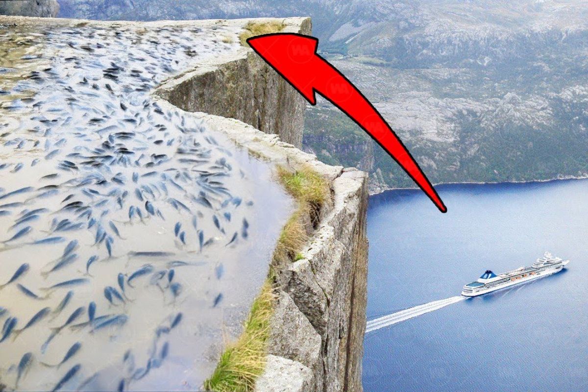 Peixes em lagos isolados: aves aquáticas, povoamento aéreo e mudanças climáticas explicam a origem dessas populações em montanhas.