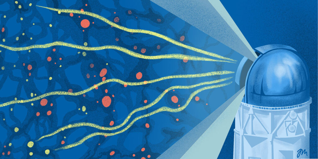 Dark Energy Survey releases Year 6 results