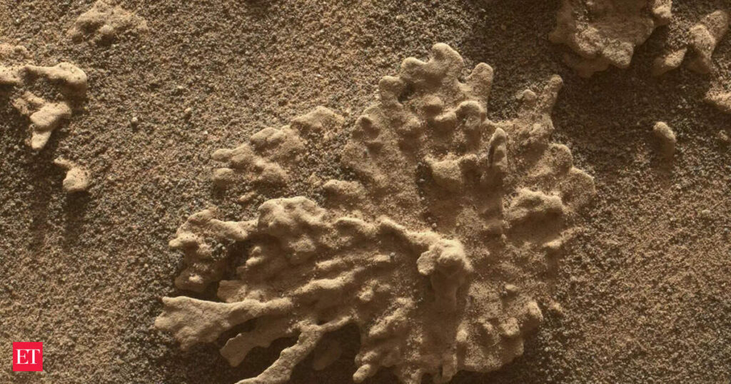 Mars organic molecule discovery is difficult to explain without life, NASA study suggests Mars organic molecule discovery is difficult to explain without life, NASA study suggests