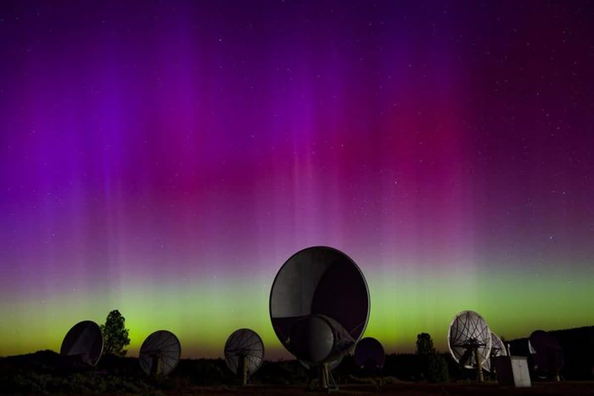 The Allen Telescope Array at Hat Creek Radio Observatory (Luigi Cruz via Eurekalert)