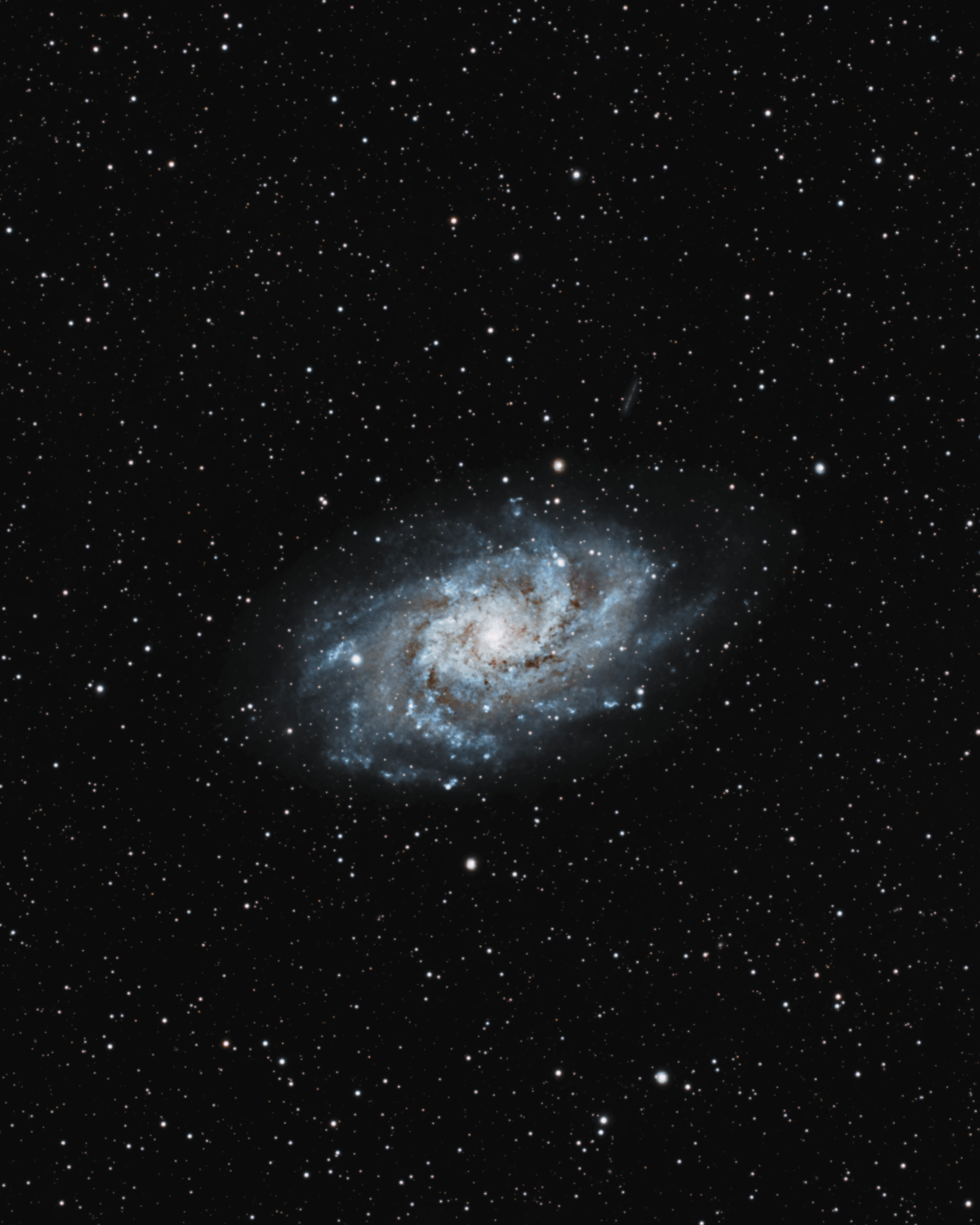 M33, Triangulum Galaxy