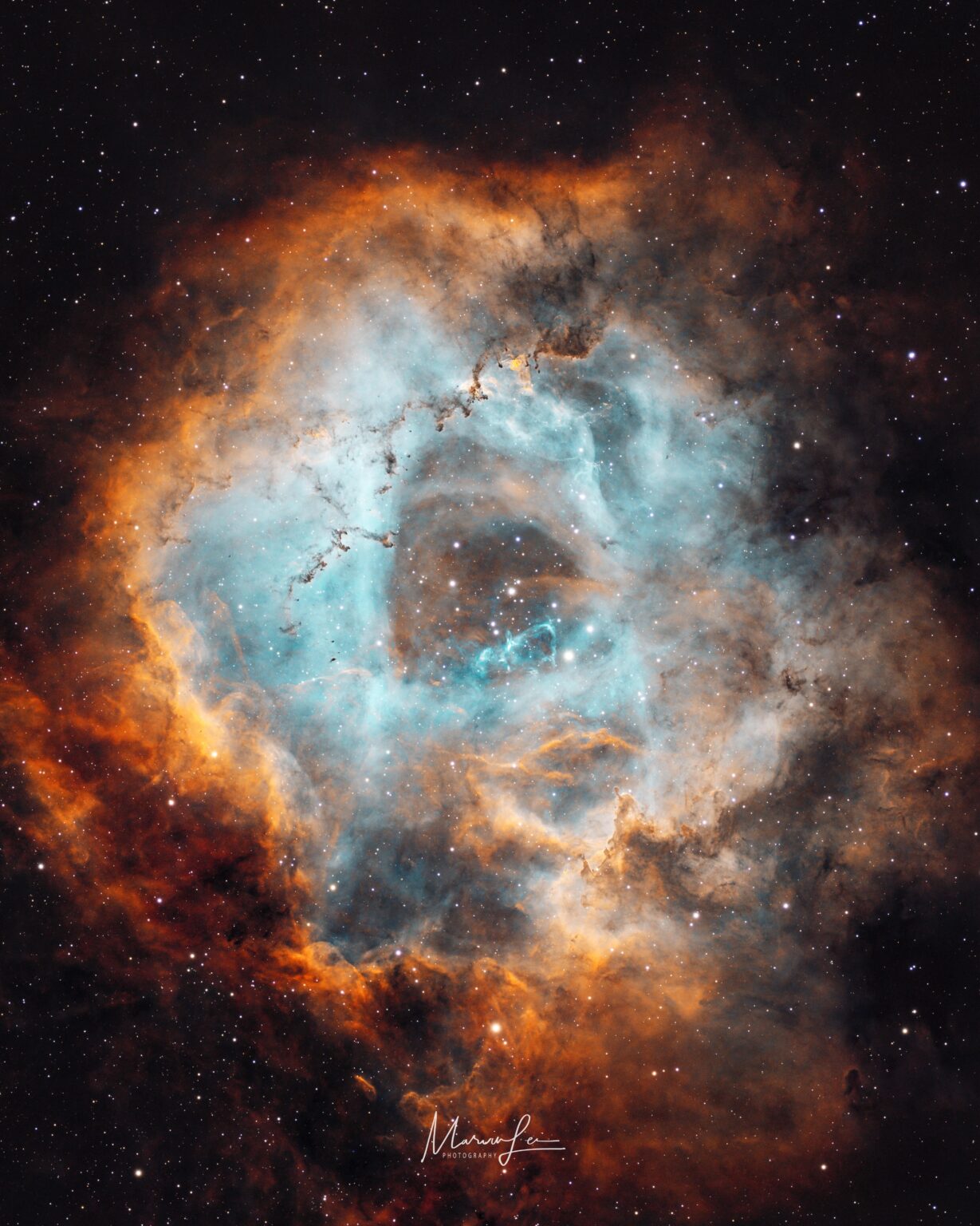 The Rosette Nebula NGC2237