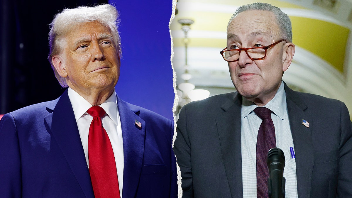Trump and Schumer split image