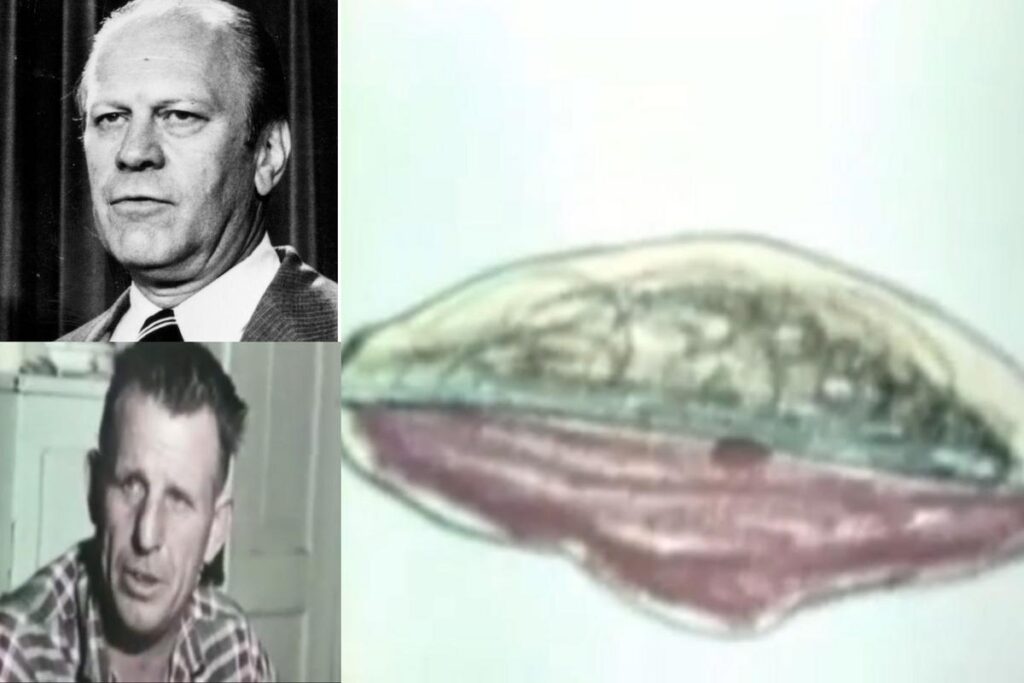 Michigan’s Famous 1966 UFO Mystery That Reached Congress