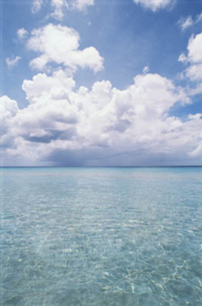 ESA - Sea Surface Temperature