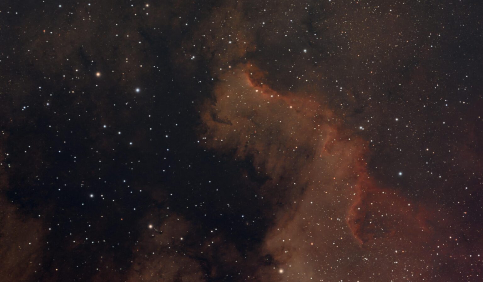 NGC 7000 Nebula