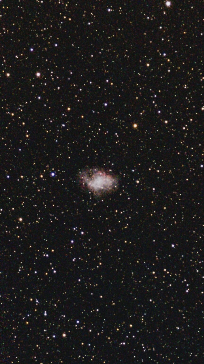The crab nebula, swimming in a sea of stars 😍🤩