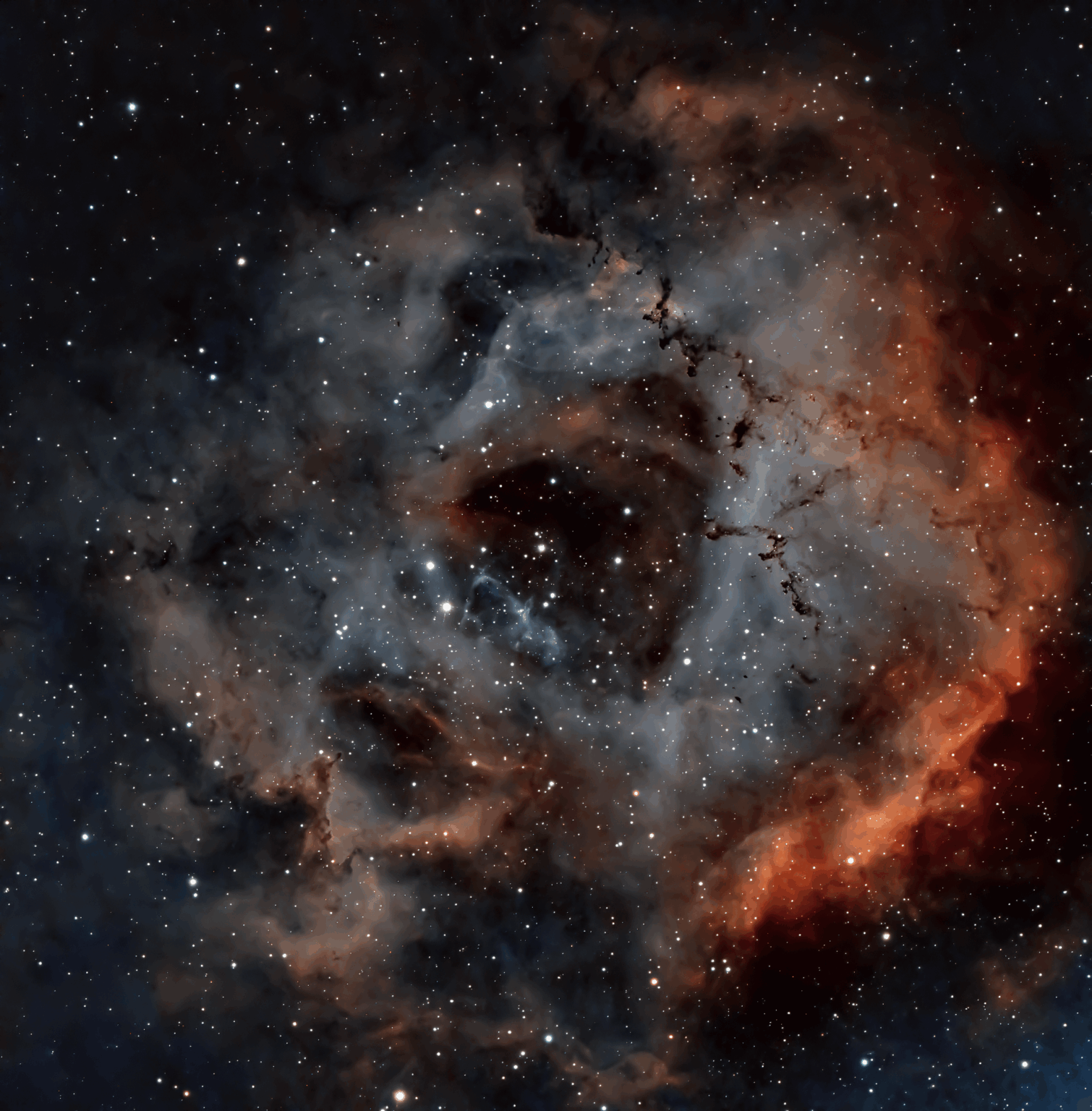 Rosette Nebula (NGC 2237)