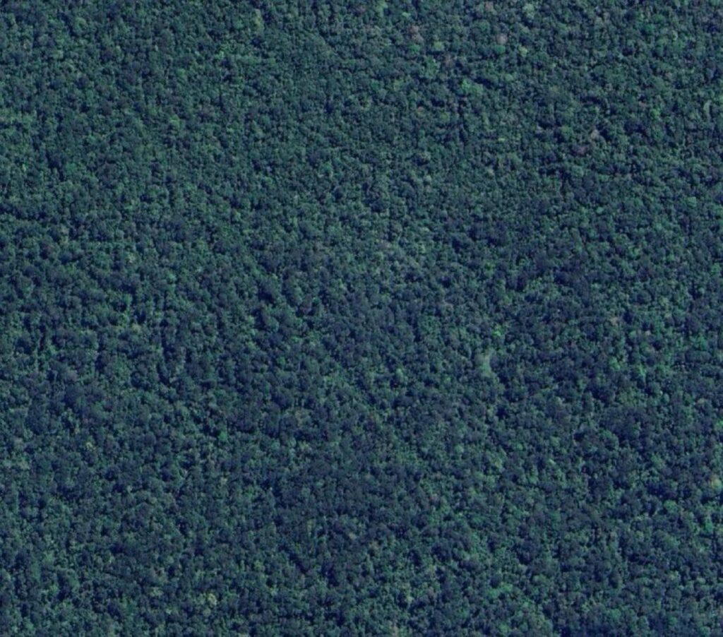 What is this perfectly straight 10km long line in the middle of the Amazon rainforest Coordinates : 1°35'33"S 66°50'53"W