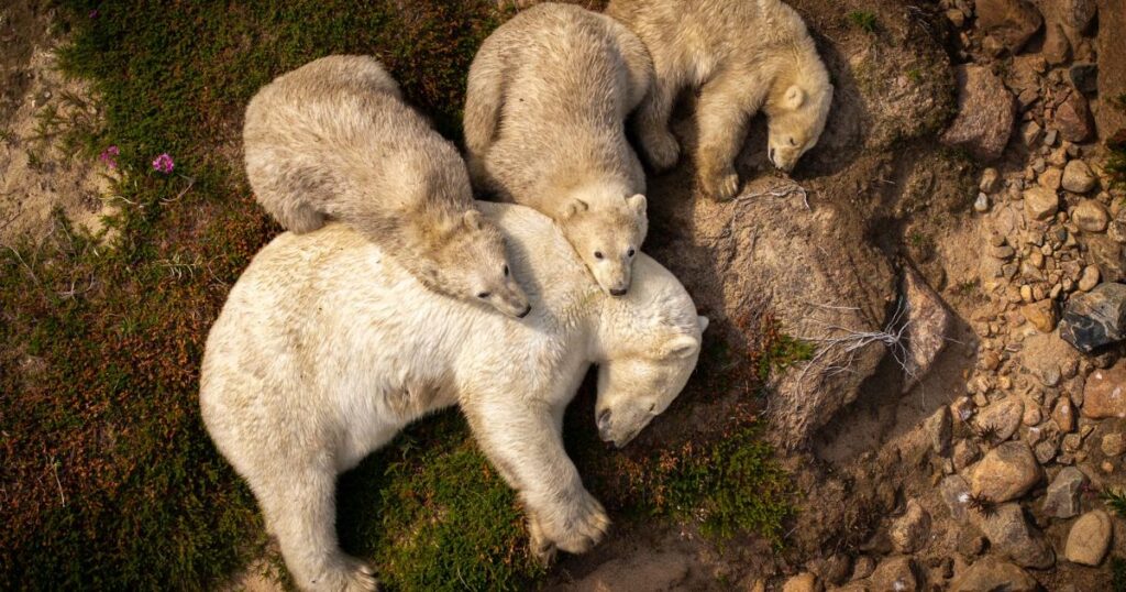 Public to choose favourite nature image from ‘truly exceptional’ list