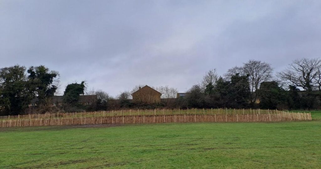 Japanese-style micro woods created in three Stevenage parks