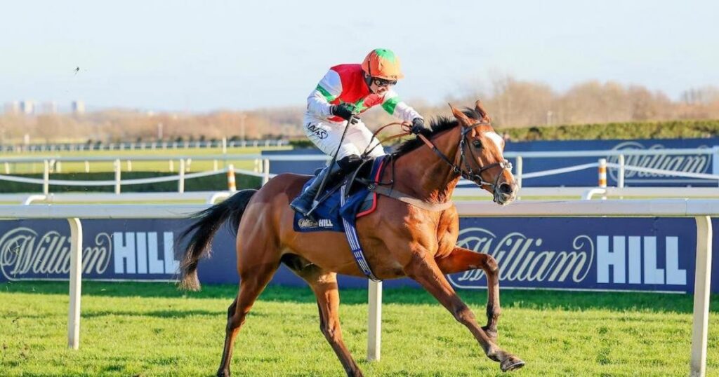 Promising Idaho Sun on target for Supreme