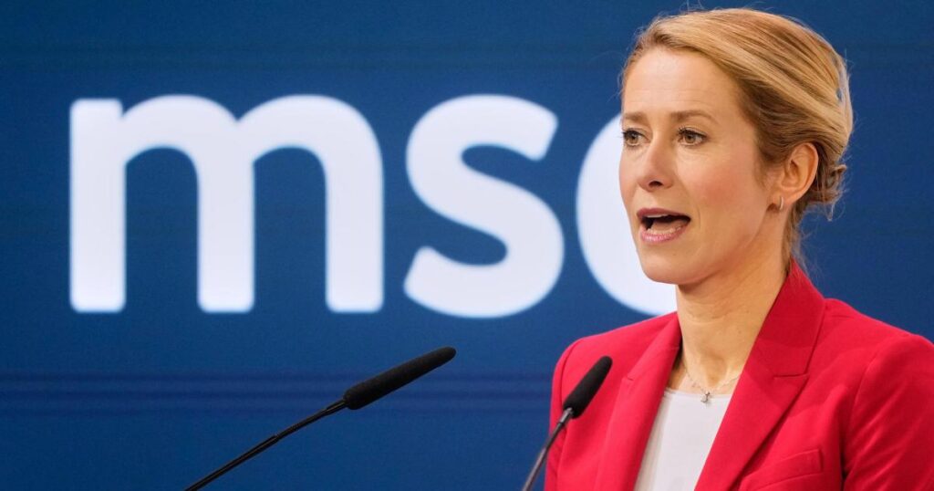 Europe is not facing civilisational erasure, EU chief insists Europe is not facing civilisational erasure, EU chief insists