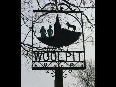 THE RETURN OF THE ALIEN TYPE GREEN Beings-:THE VISITORS WHO NEVER LEFT