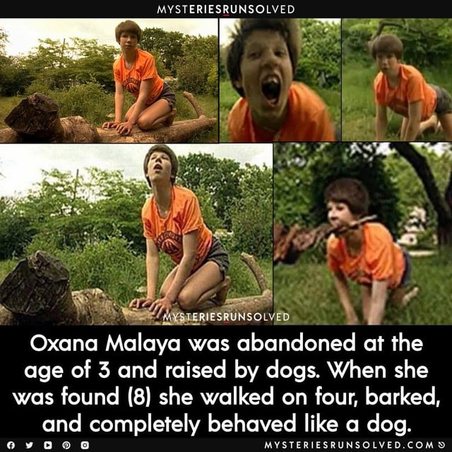 What Are Feral Humans? Evidence About Wild People in the Wilderness