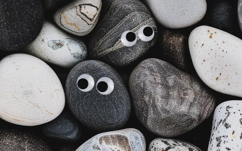 Consciousness Everywhere All At Once: The philosophy of panpsychism