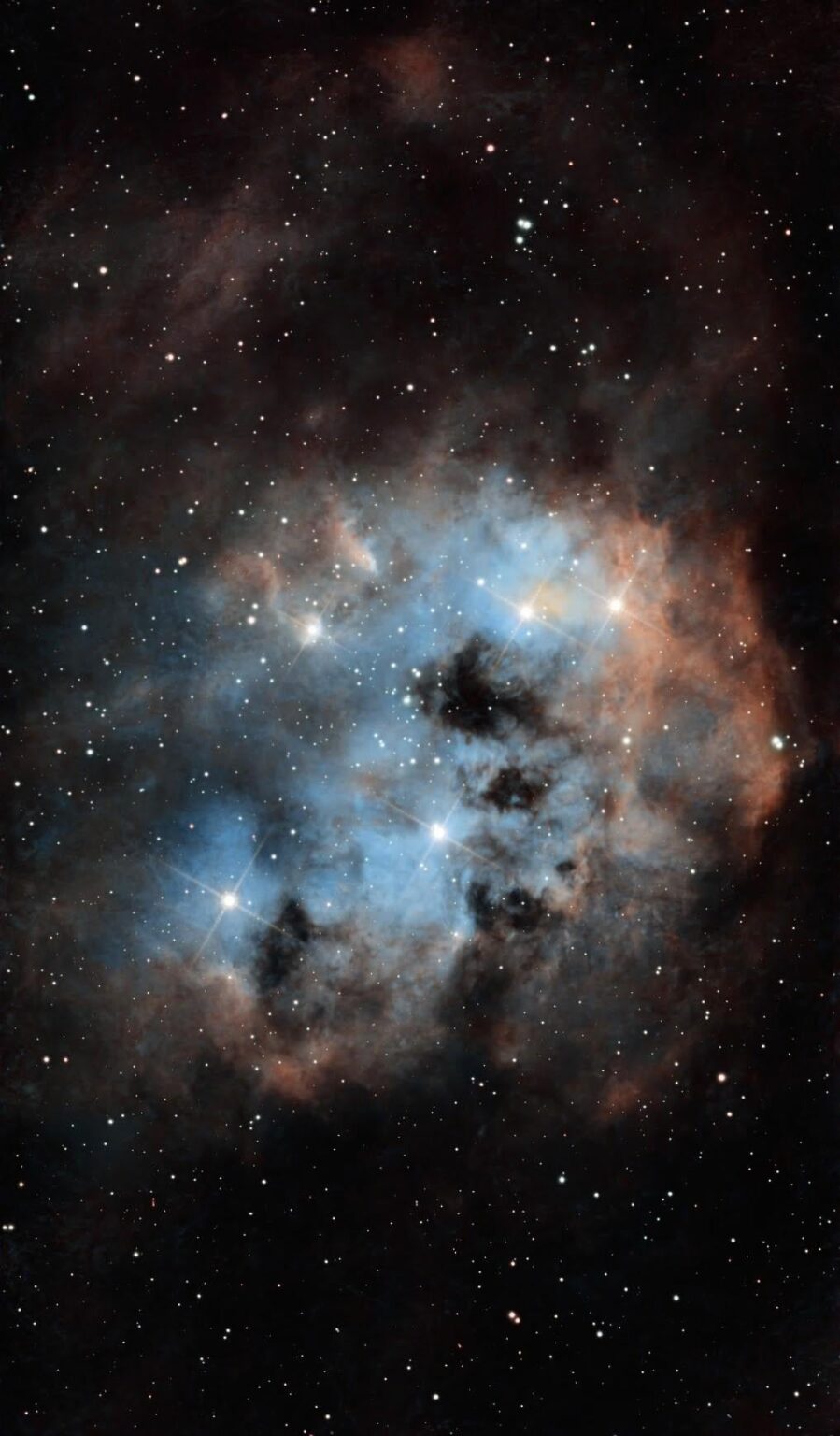 SH2-236 The Tadpole Nebula