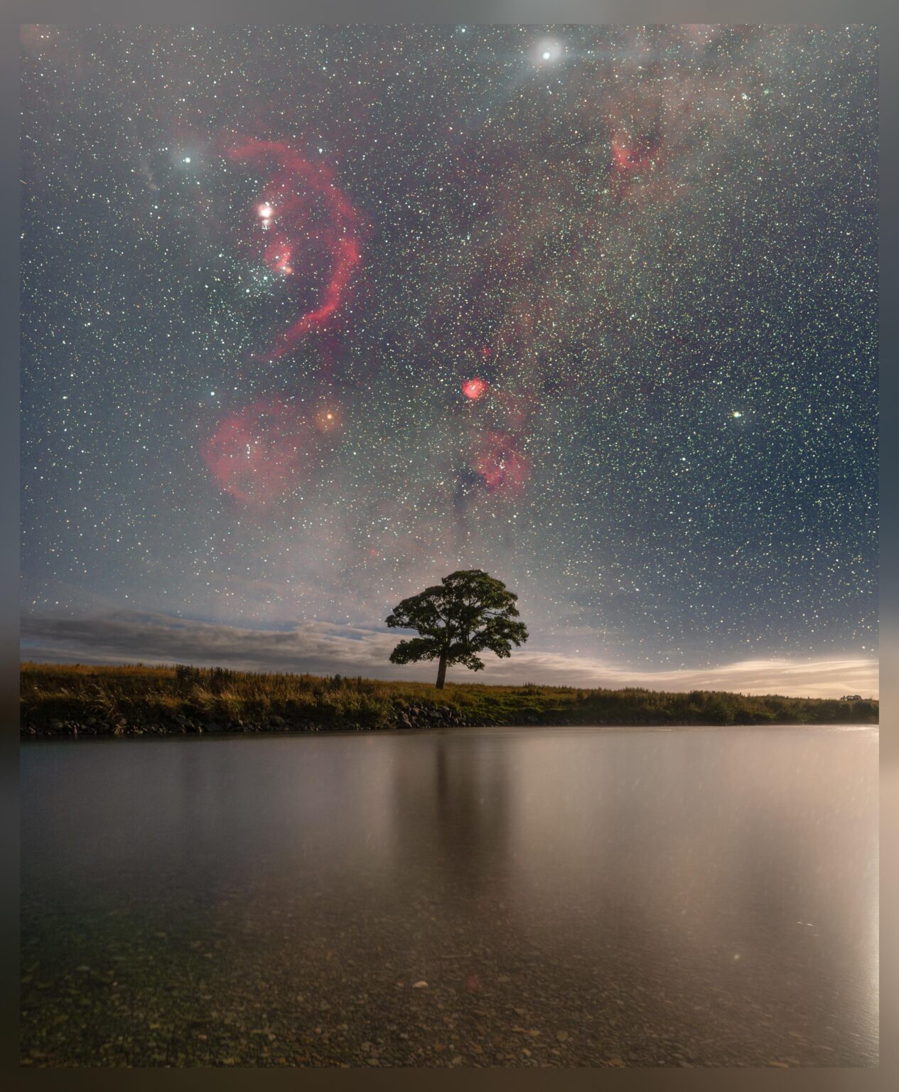 A lone tree under Orion, Southland New Zealand