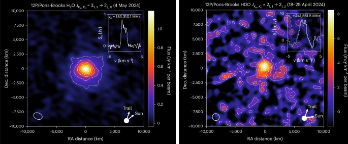 A D/H ratio consistent with Earth’s water in Halley-type comet 12P from ALMA HDO mapping
