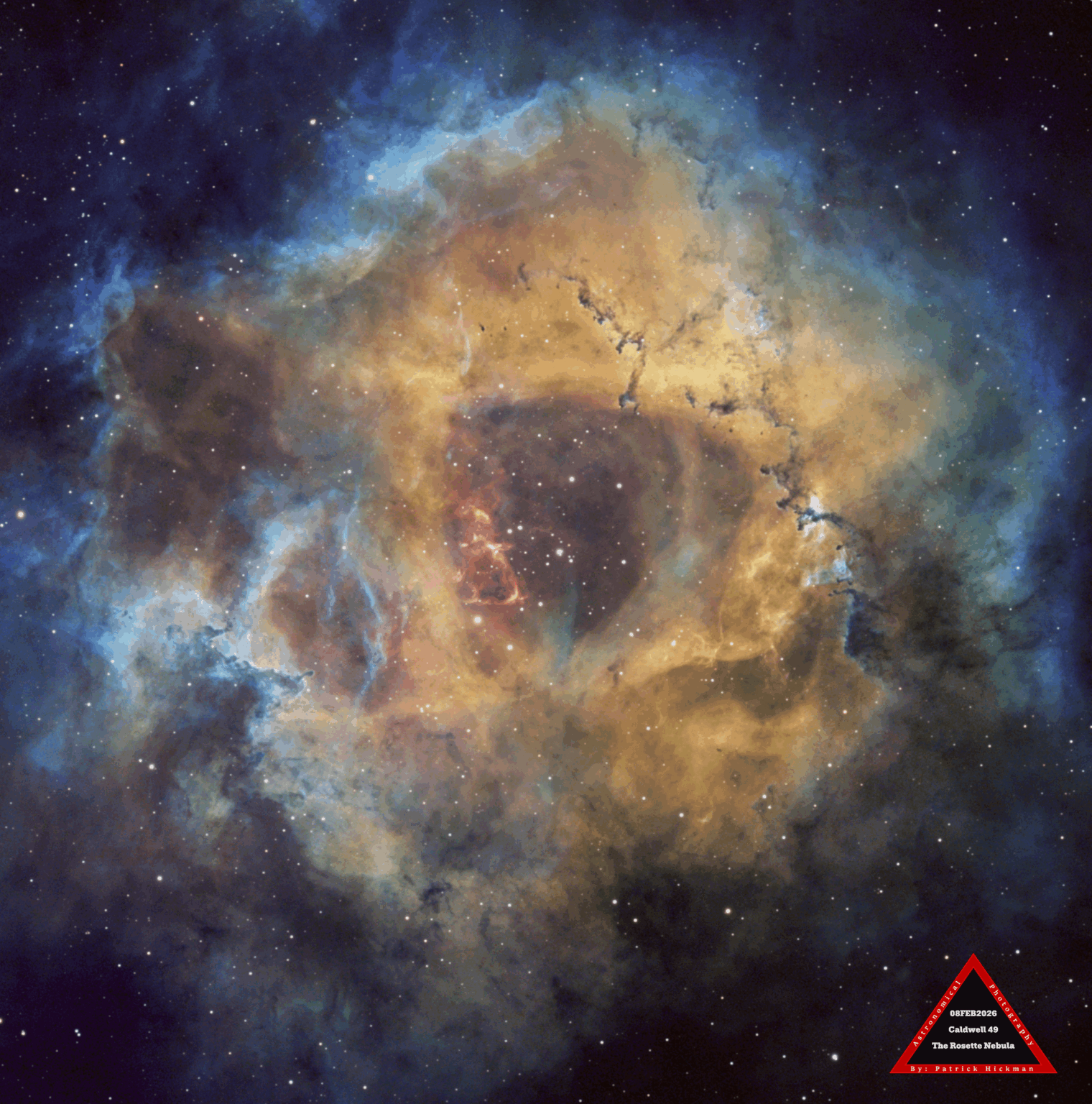 Caldwell 49 The Rosette Nebula (OHS Palette)