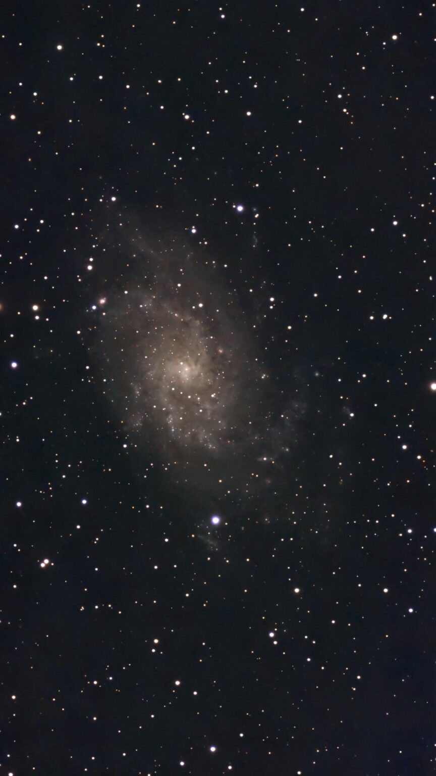 M33 - The Triangulum Galaxy