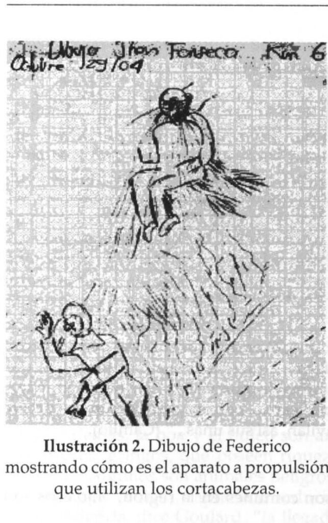 Looking for help translating a document talking about face peelers from 1998