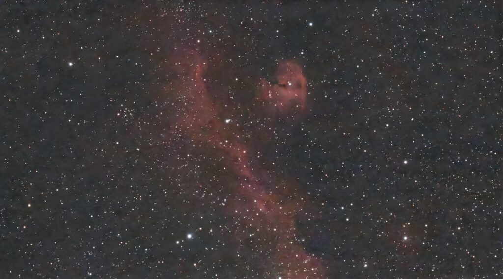 Seagull nebula